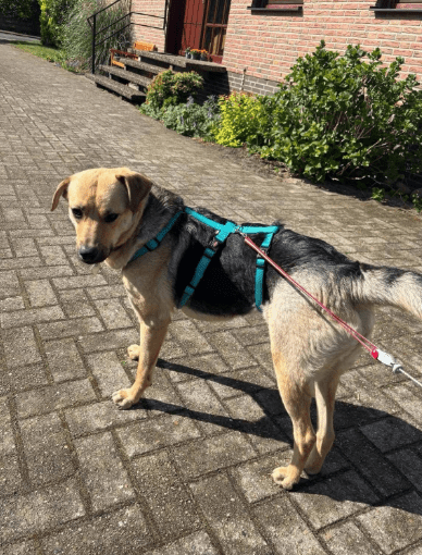 2025 05 26 09 03 46 sportliche peaches ♥️ sucht trainingspartner in niedersachsen heemsen mischl