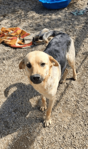 2025 05 26 09 03 55 sportliche peaches ♥️ sucht trainingspartner in niedersachsen heemsen mischl