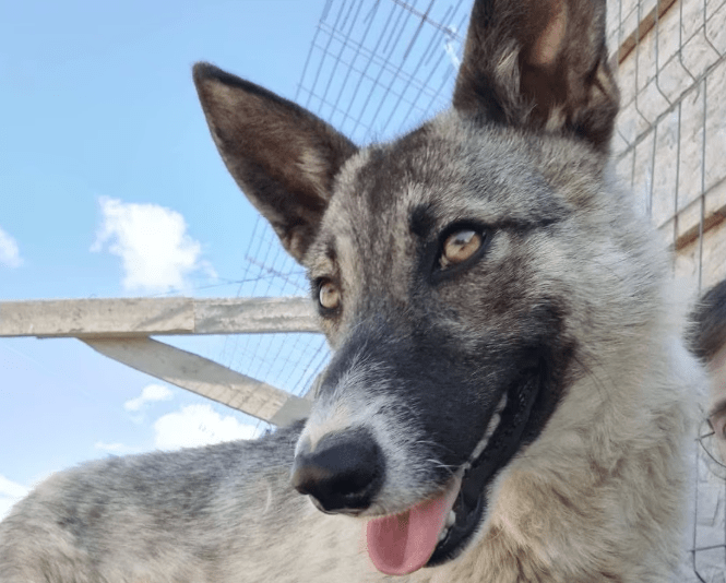 2025 05 26 09 09 33 isla ❤️ sportliche kuschelmaus sucht dich! in niedersachsen wedemark mischli