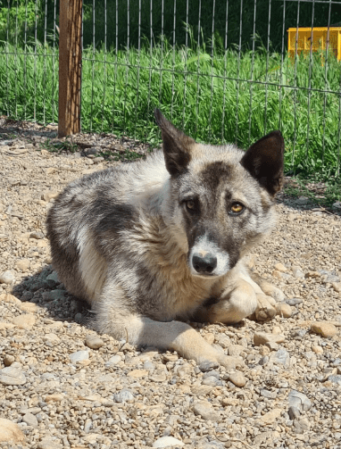 2025 05 26 09 09 38 isla ❤️ sportliche kuschelmaus sucht dich! in niedersachsen wedemark mischli