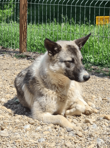 2025 05 26 09 09 42 isla ❤️ sportliche kuschelmaus sucht dich! in niedersachsen wedemark mischli