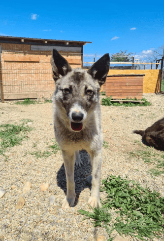 2025 05 26 09 09 47 isla ❤️ sportliche kuschelmaus sucht dich! in niedersachsen wedemark mischli