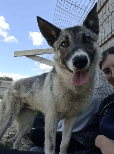 2025 05 26 09 10 00 isla ❤️ sportliche kuschelmaus sucht dich! in niedersachsen wedemark mischli