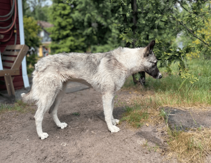 2025 05 26 09 10 13 isla ❤️ sportliche kuschelmaus sucht dich! in niedersachsen wedemark mischli