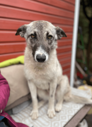 2025 05 26 09 10 30 isla ❤️ sportliche kuschelmaus sucht dich! in niedersachsen wedemark mischli