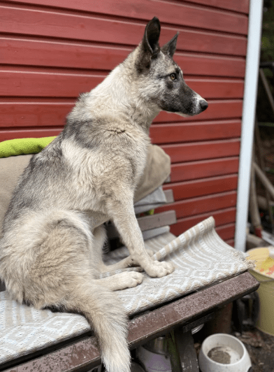 2025 05 26 09 10 37 isla ❤️ sportliche kuschelmaus sucht dich! in niedersachsen wedemark mischli