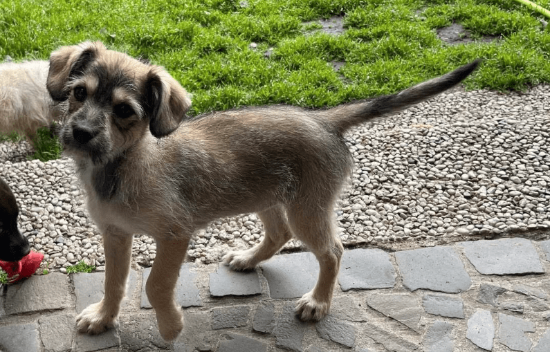 2025 06 02 08 29 19 liebenswerte insa ♥️ möchte dich kennenlernen in nordrhein westfalen herten