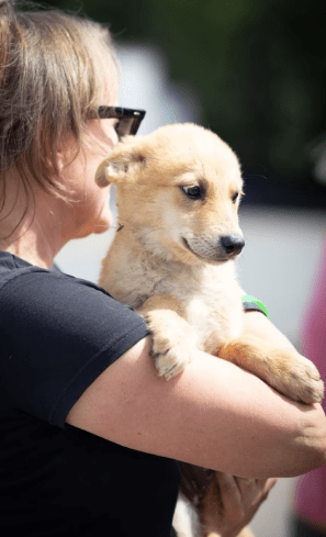 2025 06 02 08 31 26 fynni♥️ kleiner fuchs mit großem potenzial in niedersachsen wedemark misch