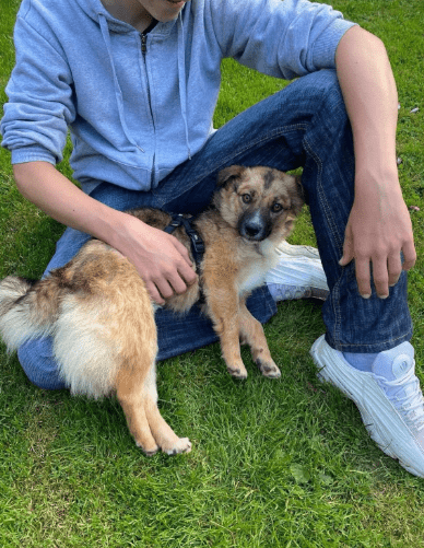2025 06 22 12 15 39 kleine, drollige djamila ❤️ sucht euch! in niedersachsen springe mischlinge