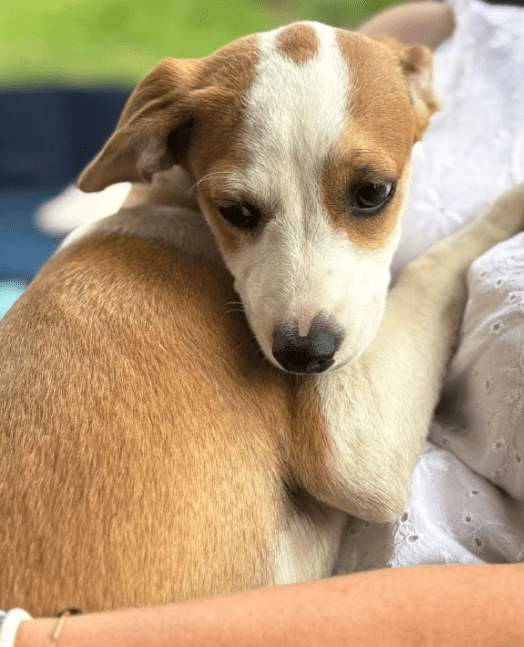 2025 07 09 10 09 11 gina ❤️ aktive, super liebe zaubermaus sucht dich! in nordrhein westfalen nord