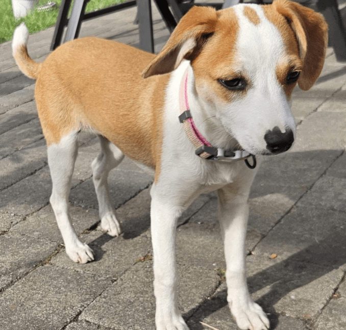 2025 07 09 10 09 27 gina ❤️ aktive, super liebe zaubermaus sucht dich! in nordrhein westfalen nord