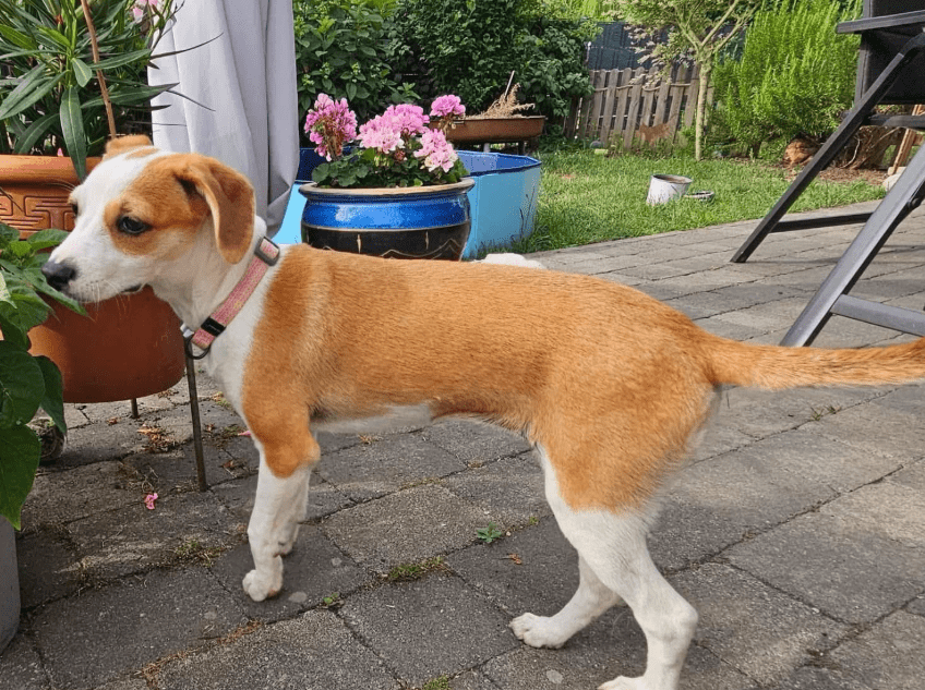 2025 07 09 10 09 43 gina ❤️ aktive, super liebe zaubermaus sucht dich! in nordrhein westfalen nord