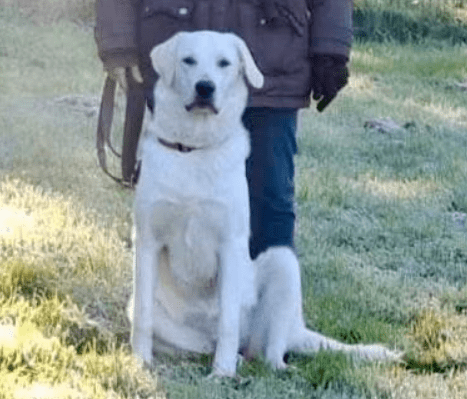 2025 10 23 17 53 01 chat schneider, david microsoft teams