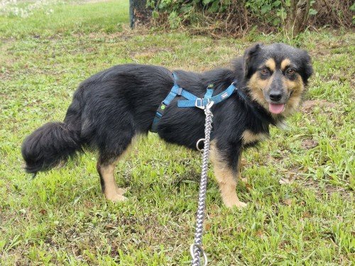 20250729 181638 copy 1000x750 copy 500x375