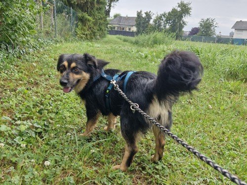 20250730 074907 copy 1000x750 copy 500x375