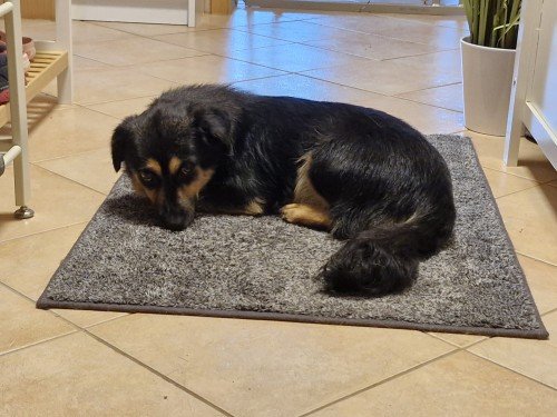 20250730 105753 copy 1000x750 copy 500x375