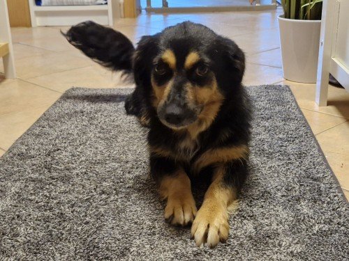 20250730 105821 copy 1000x750 copy 500x375