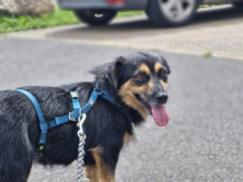 20250730 150032 copy 1000x750 copy 500x375