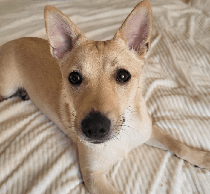 2026 01 12 10 08 00 Posteingang Sina.Rieke Kroeger@oetker.com Outlook