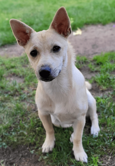 2026 01 12 10 08 04 Posteingang Sina.Rieke Kroeger@oetker.com Outlook