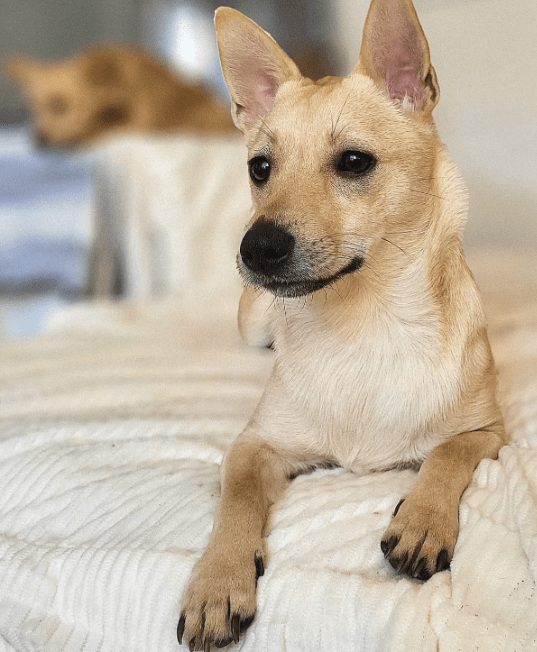 2026 01 12 10 08 13 Posteingang Sina.Rieke Kroeger@oetker.com Outlook