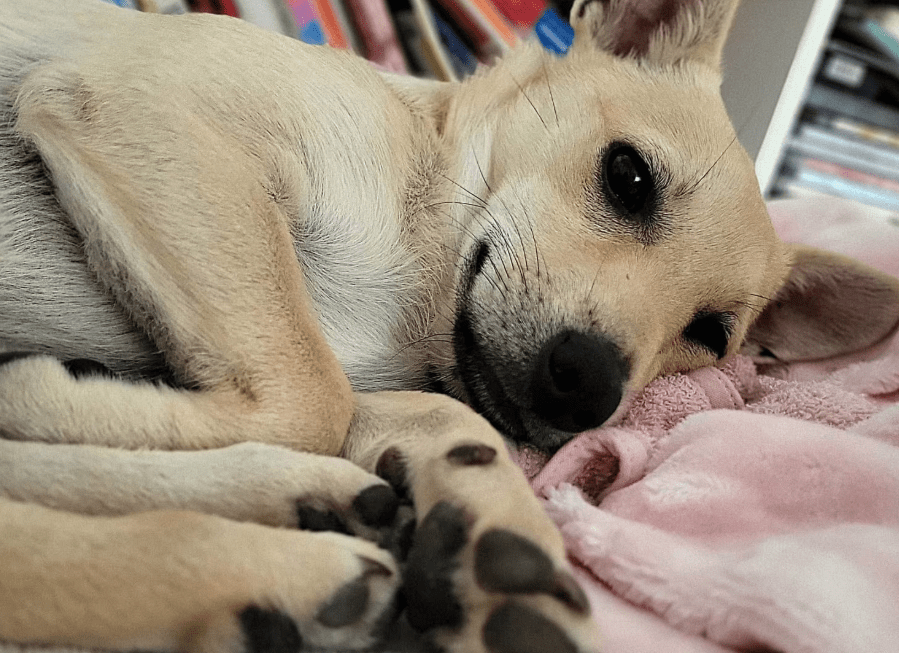 2026 01 12 10 08 19 Posteingang Sina.Rieke Kroeger@oetker.com Outlook