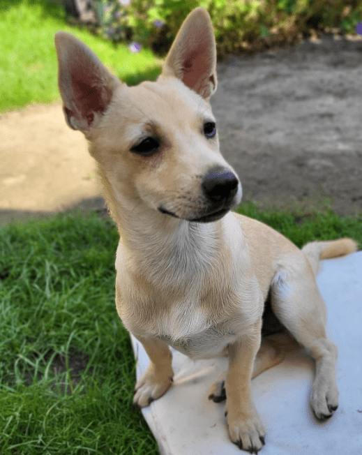 2026 01 12 10 08 25 Posteingang Sina.Rieke Kroeger@oetker.com Outlook