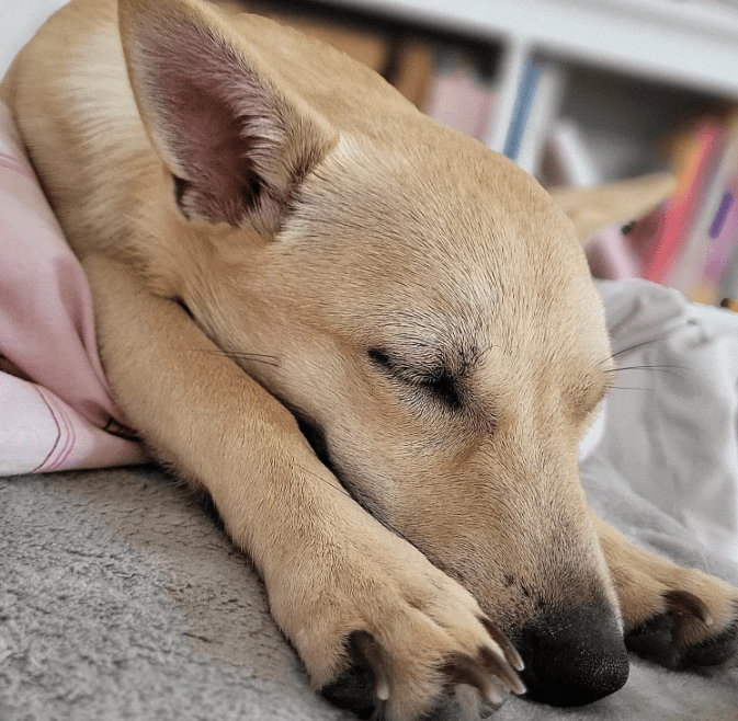 2026 01 12 10 08 30 Posteingang Sina.Rieke Kroeger@oetker.com Outlook