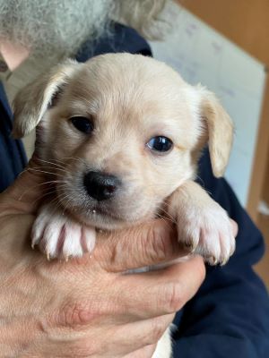 491005398 999319135669884 4939129633641071510 n