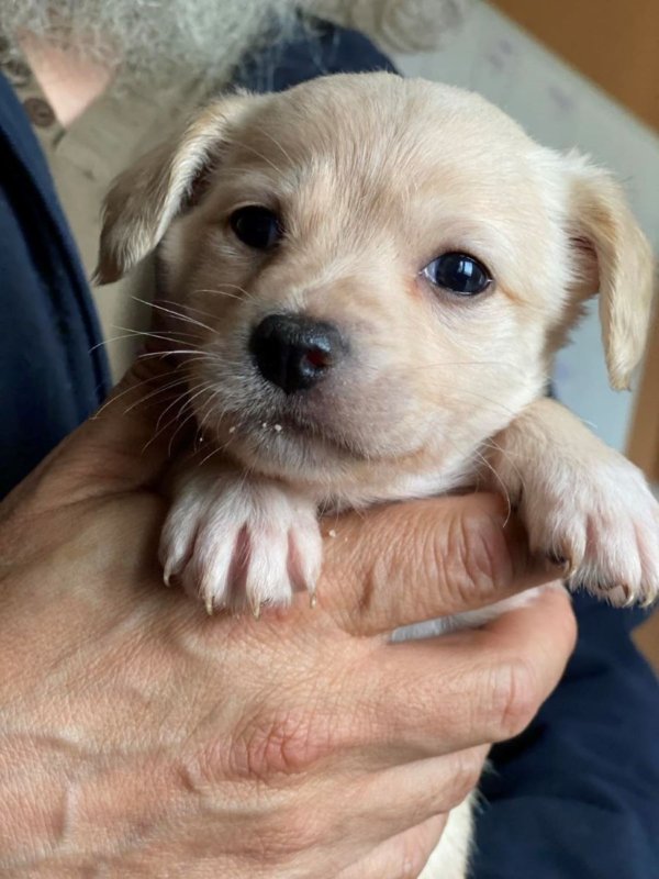 491016774 1345955873364258 6142086225267085159 n