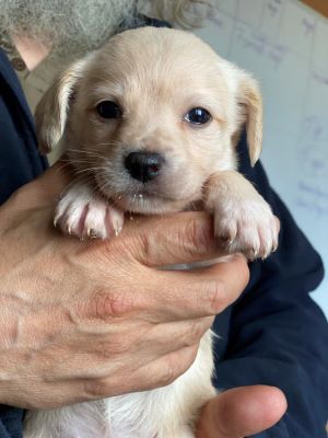 491307826 2106200513216739 5355783621800707570 n