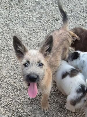 496510125 1922247165194260 373494453124083795 n