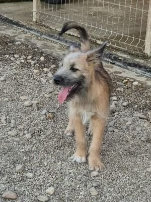 496511130 1180614643821051 7054869554317347303 n