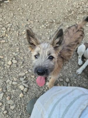 509257890 1691523411480644 3604990565343707980 n