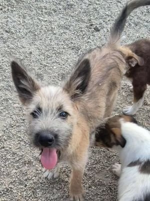 510055204 1251346323668570 9164611402255947729 n