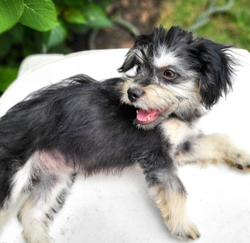 Fb img 1753303546367 copy 512x498