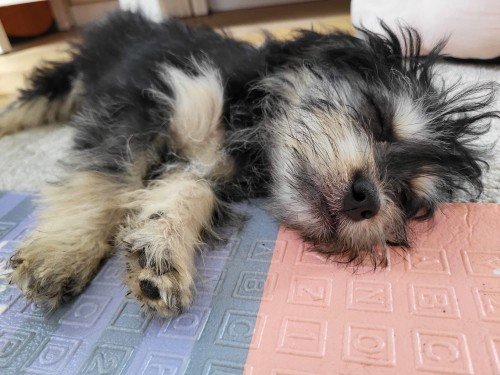 Fb img 1753303552593 copy 500x375