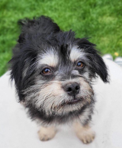 Fb img 1753303563031 copy 422x512