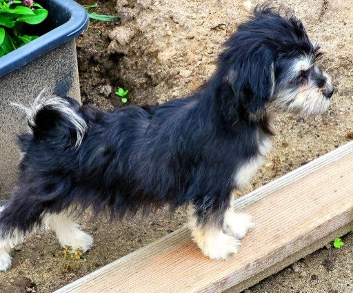 Fb img 1753303567274 copy 512x425