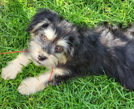 Fb img 1753303569614 copy 512x418