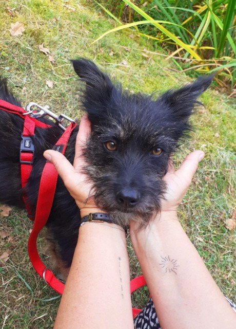 Fb img 1756578799158 copy 460x640