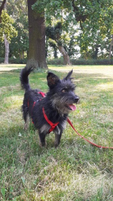 Fb img 1756578804775 copy 360x640