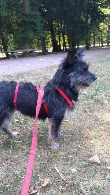 Fb img 1756578809474 copy 360x640