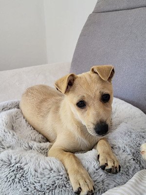 Img 2025 07 29 091037