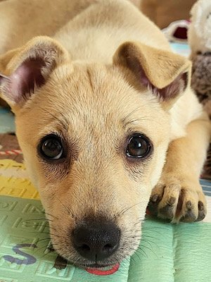 Img 2025 07 29 091056