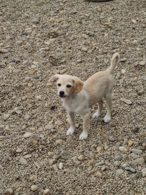 Whatsapp bild 2025 05 24 um 13.35.06 20016f02