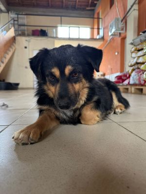 Whatsapp bild 2025 07 16 um 07.10.25 c8836a44