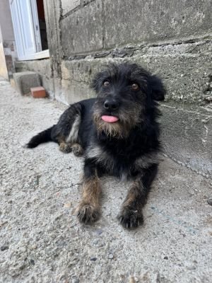 Whatsapp bild 2025 08 05 um 08.56.42 66adbc1d