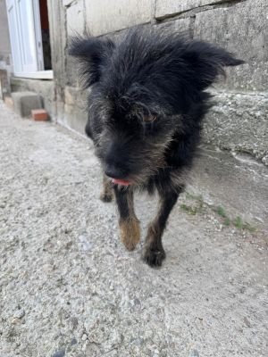 Whatsapp bild 2025 08 05 um 08.56.43 156940b5