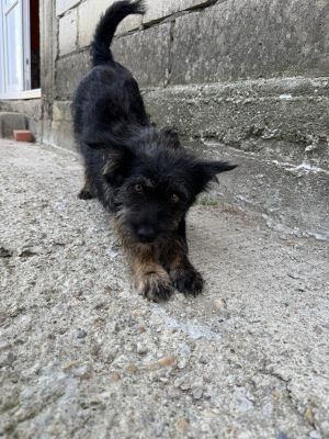 Whatsapp bild 2025 08 05 um 08.56.43 9762c6eb